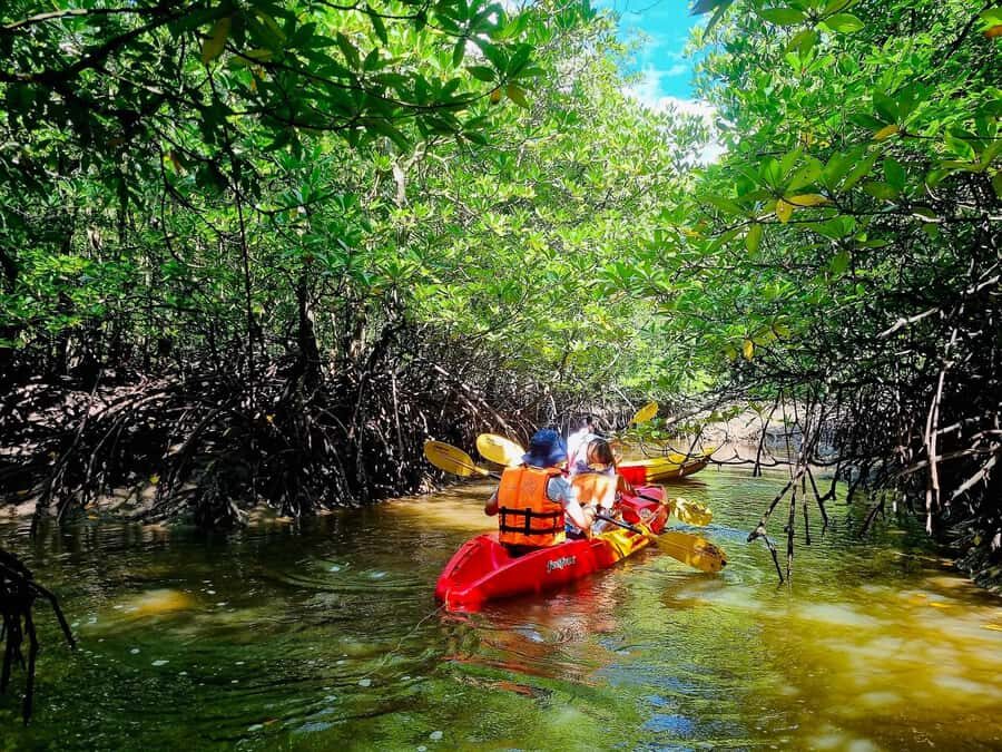 Ko Lanta: The Mangrove Kayaking Experience + Local Lunch - Practical Details & What to Expect