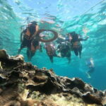Ko Lipe: Snorkeling Tour Short Way A - The Experience & Authentic Insights