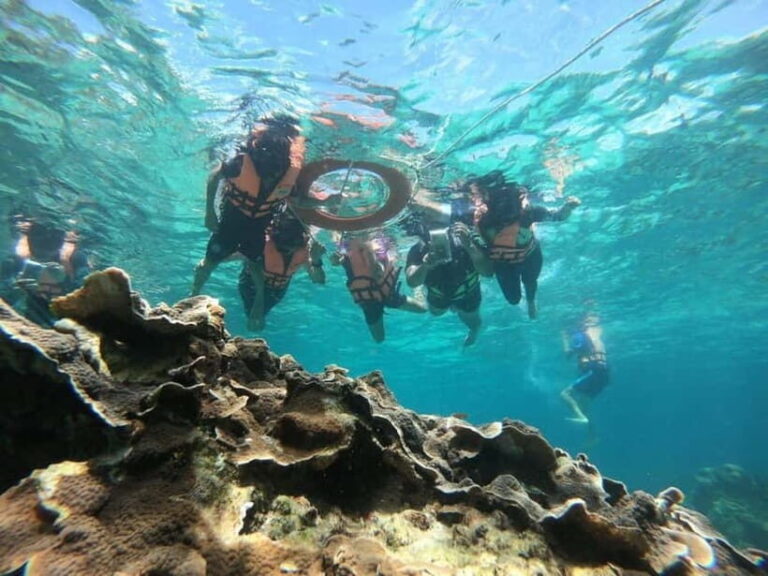 Ko Lipe: Snorkeling Tour Short Way A - The Experience & Authentic Insights