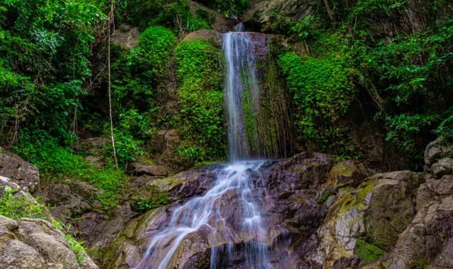 Ko Samui: Jungle Zipline & Waterfall Adventure with Drink - What to Expect: Practical Details