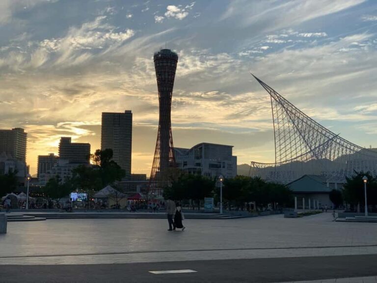 Kobe & Himeji: Private Custom Tour With Driver and vehicle - Who Should Consider This Tour?