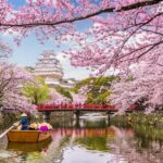 Kobe & Himeji: Private Day Tour Castles, Harbor & Culture - An In-Depth Look at the Kobe & Himeji Private Day Tour