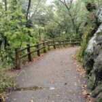 Kobe Nunobiki Falls Morning Guided Hike - Who Should Join This Tour?