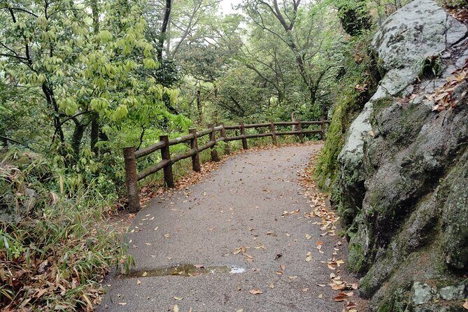 Kobe Nunobiki Falls Morning Guided Hike - Who Should Join This Tour?