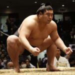 Kobe Sumo Tour from Osaka (Guide & Ticket Included) | Mar 31 - Who Will Love This Tour?