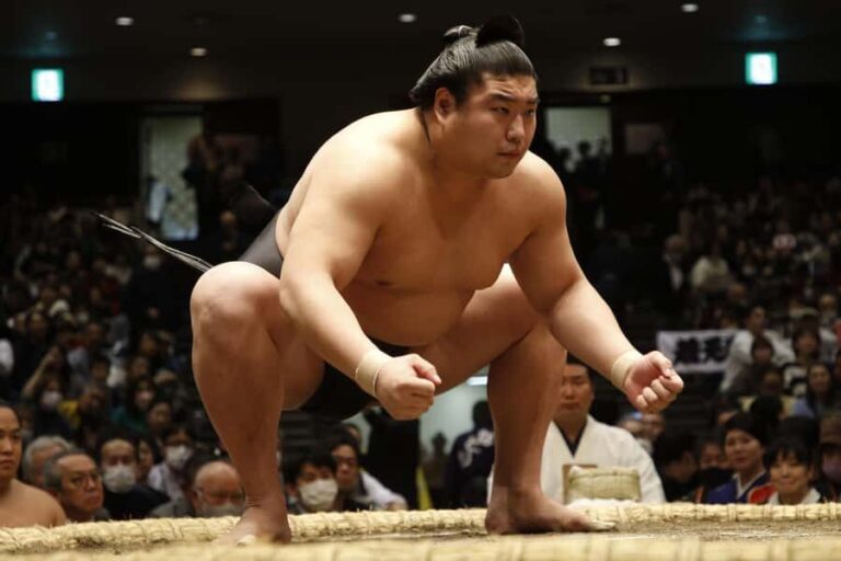 Kobe Sumo Tour from Osaka (Guide & Ticket Included) | Mar 31 - Who Will Love This Tour?