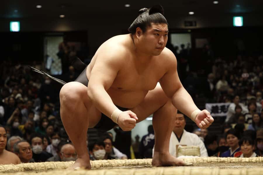 Kobe Sumo Tour from Osaka (Guide & Ticket Included) | Mar 31 - Who Will Love This Tour?