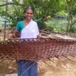 Kochi: Backwater Exploration in Village: Free Pickup & Drop - Practical Details and Value