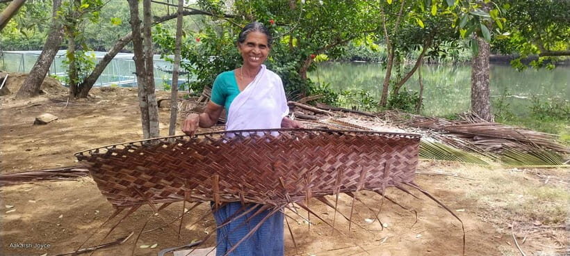 Kochi: Backwater Exploration in Village: Free Pickup & Drop - Practical Details and Value