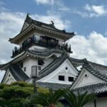 Kochi Castle, Shrine & Hirome Market: Half-Day Guided Tour - Practical Details