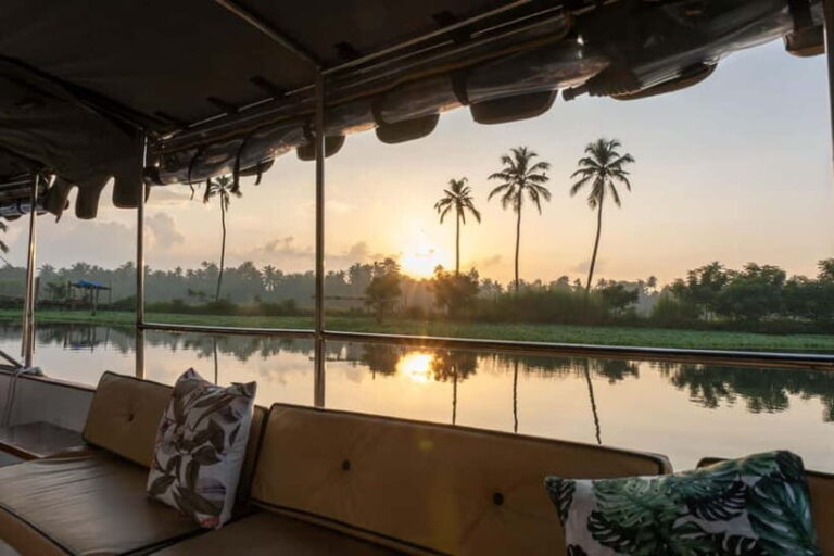 Kochi: Electric Boat Private Tour - Exploring Kerala’s Backwaters: The Details