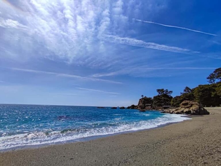 Kochi: Private Shore Excursion for cruise passenger - The Sum Up