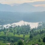 Kochi to Munnar Full Day Tour with Eravikulam, lockhart and Lunch - Pickup and Scenic Drive from Ernakulam