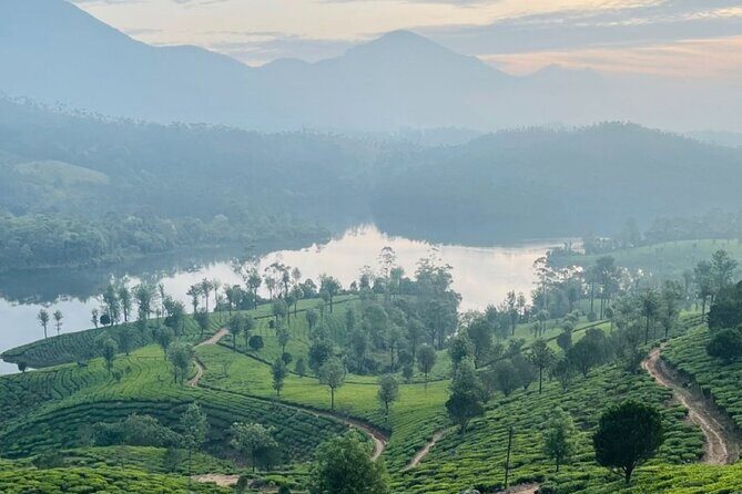 Kochi to Munnar Full Day Tour with Eravikulam, lockhart and Lunch - Pickup and Scenic Drive from Ernakulam