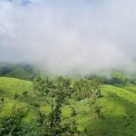 Kochi to Munnar Private Full Day Guided Tour With Hotel Pickup - The Value of This Experience