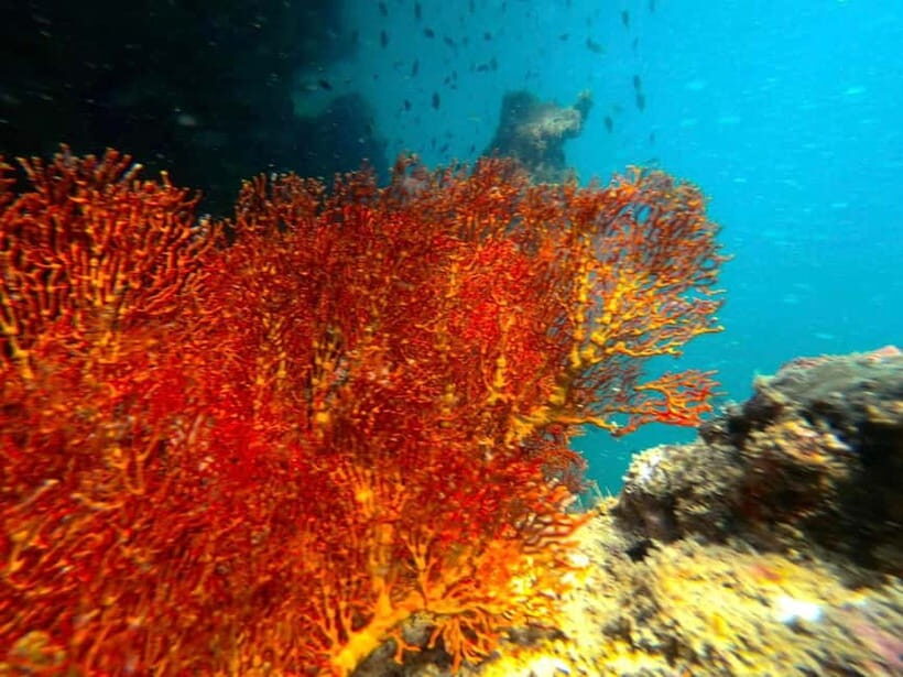 Koh Lanta: 4 Islands and Emerald Cave Snorkeling Trip - The Itinerary in Detail