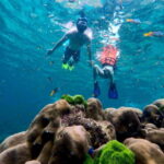 Koh Lanta: 4 Islands, Emerald Cave & Koh Kradan by Speedboat - Koh Kradan: The Beach Paradise