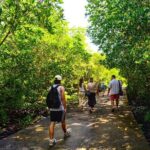 Koh Lanta Mangrove Adventure and Old Town Tour by Long Tail Boat - Who Would Benefit Most from This Tour?