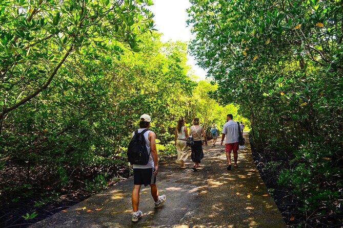 Koh Lanta Mangrove Adventure and Old Town Tour by Long Tail Boat - Who Would Benefit Most from This Tour?