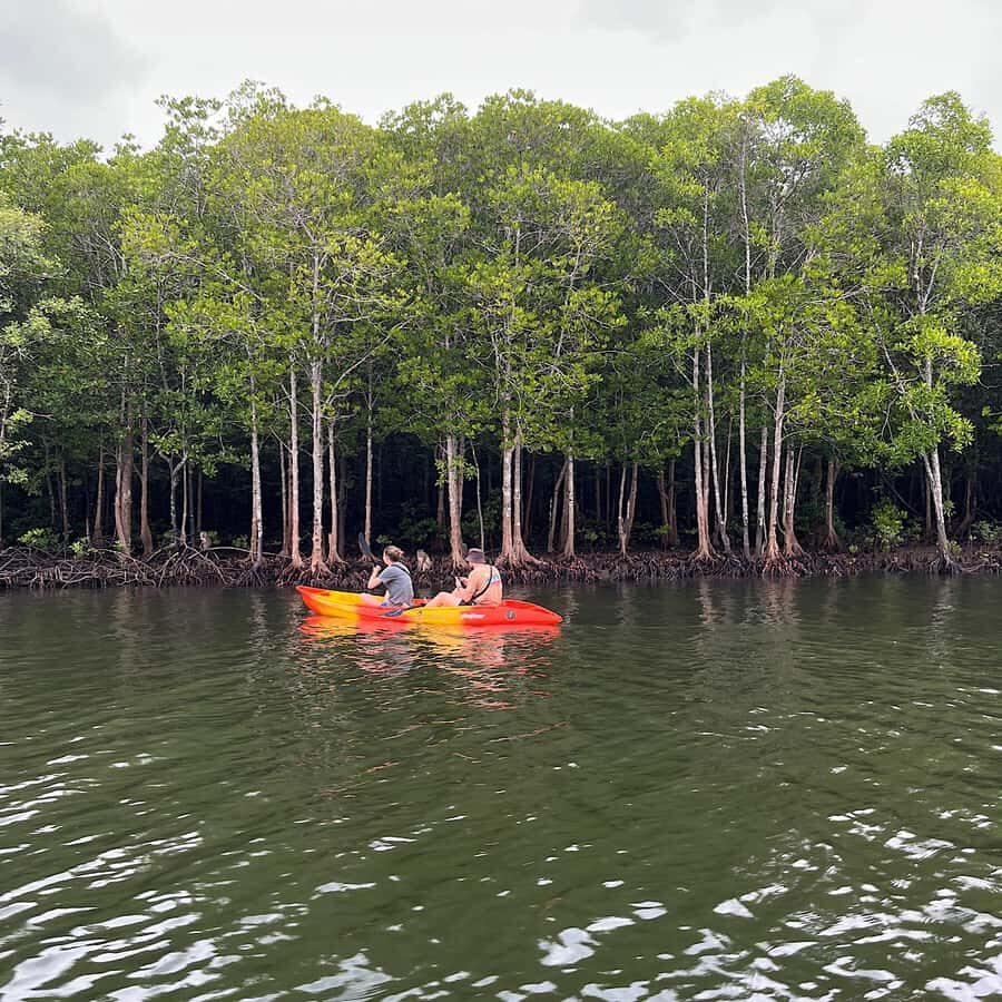 Koh Lanta: Mangrove Kayaking Tour with Hotel Pickup & Lunch - A Closer Look at the Itinerary