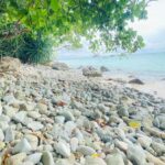 Koh Lanta: Private Koh Rok Snorkeling Tour by Speedboat - What Makes This Tour Stand Out?