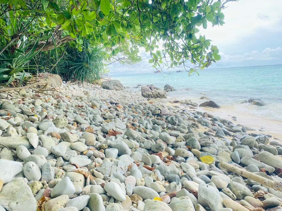 Koh Lanta: Private Koh Rok Snorkeling Tour by Speedboat - What Makes This Tour Stand Out?