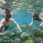 Koh Lipe 4 Islands Snorkeling and Sunset by Longtail Boat - Practical Details and What They Mean for Travelers