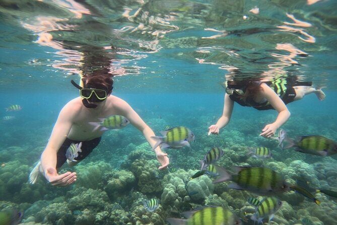 Koh Lipe 4 Islands Snorkeling and Sunset by Longtail Boat - Practical Details and What They Mean for Travelers