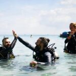 Koh Lipe Beginner Scuba Diving Half Day Tour with Lunch - The Pristine Underwater Environment