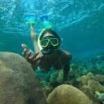 Koh Lipe Inside Outside Snorkel Tour by Private Longtail Boat - Practical Aspects & Value