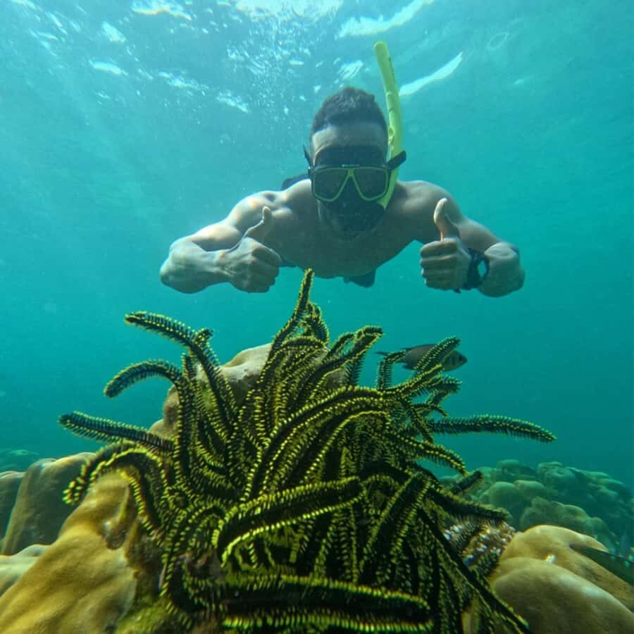 Koh Lipe: Private Snorkeling & Islands Hopping with Lunch - Deep Dive Into the Itinerary