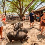 Koh Madsum and Koh Tan Snorkeling Trip By Speedboat From Koh Samui - Frequently Asked Questions