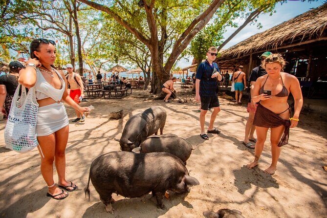 Koh Madsum and Koh Tan Snorkeling Trip By Speedboat From Koh Samui - Frequently Asked Questions