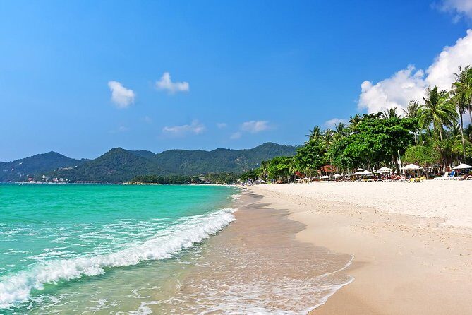 Koh Madsum (Pig island) and Koh Tan Day Tour from Koh Samui - Transportation and Group Size