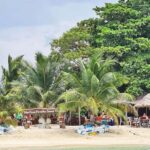 Koh Samui: Amazing Pig Island Tour - Cruise Ship Tours - An In-Depth Review of the Koh Samui Pig Island Tour