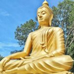 Koh Samui: Island Half Day Shore Excursion - Transport and Group Size