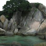 Koh Samui Local Market Hin Ta Hin Yai and Beach Dinner - Who Will Love This Tour?