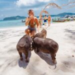 Koh Samui: Pig Island Private Longtail Boat Tour - What’s Included and Practical Details