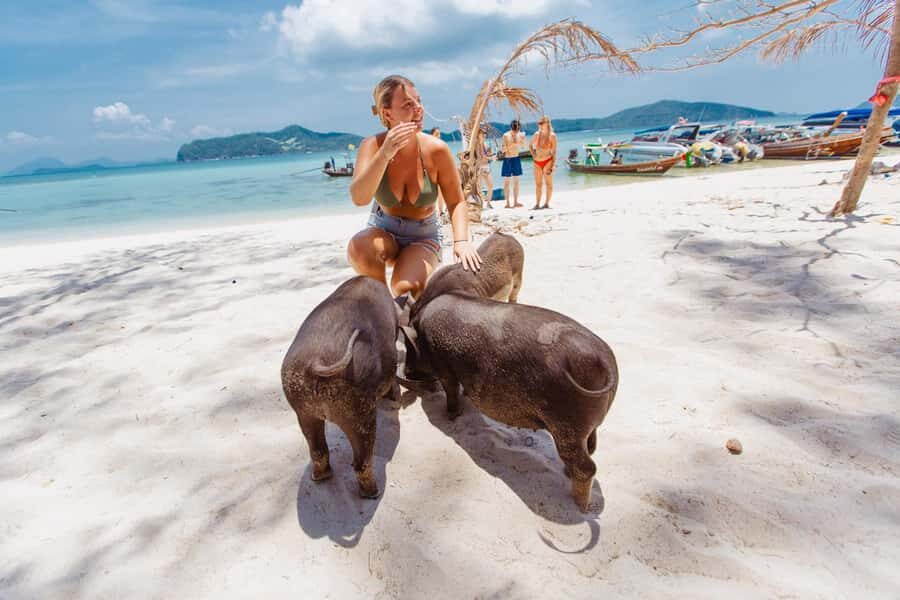 Koh Samui: Pig Island Private Longtail Boat Tour - What’s Included and Practical Details