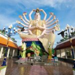 Koh Samui Sightseeing Tour by Minivan - Transportation and Group Dynamics