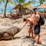 Koh Tan and Pig Island Half-Day Tour by Speed Catamaran - How the Experience Plays Out