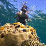 Koh Tao and Koh Nang Yuan Snorkel Tour (Speedboat from Koh Samui) - What’s Included and What’s Not
