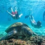 Koh Tao, Koh Nangyuan and Hidden Bays Snorkeling with Lunch - The Value of the Tour