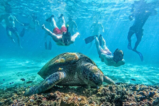 Koh Tao, Koh Nangyuan and Hidden Bays Snorkeling with Lunch - The Value of the Tour