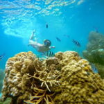 Koh Tao: Snorkeling Trip to Nang Yuan Island & Hidden Bays - Who Should Book This Tour?