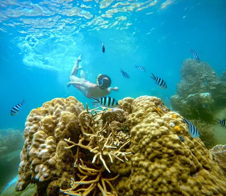 Koh Tao: Snorkeling Trip to Nang Yuan Island & Hidden Bays - Who Should Book This Tour?