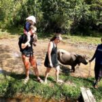 Koh Yao Yai: Eco-Cultural Experience with Beach Lunch - Transport & Practical Details