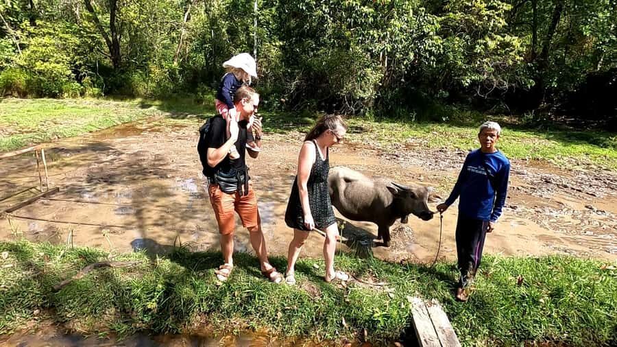 Koh Yao Yai: Eco-Cultural Experience with Beach Lunch - Transport & Practical Details
