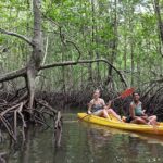 Koh Yao Yai Mangrove Forest Kayak with Local Life Discovery Tour - Practical Details and What to Expect