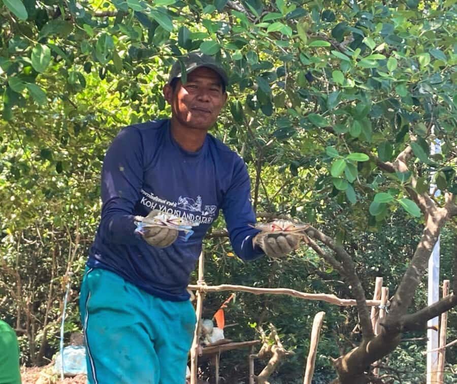 Koh Yao Yai : Mangrove Kayaking Adventure - What the Reviews Say: Authentic Insights